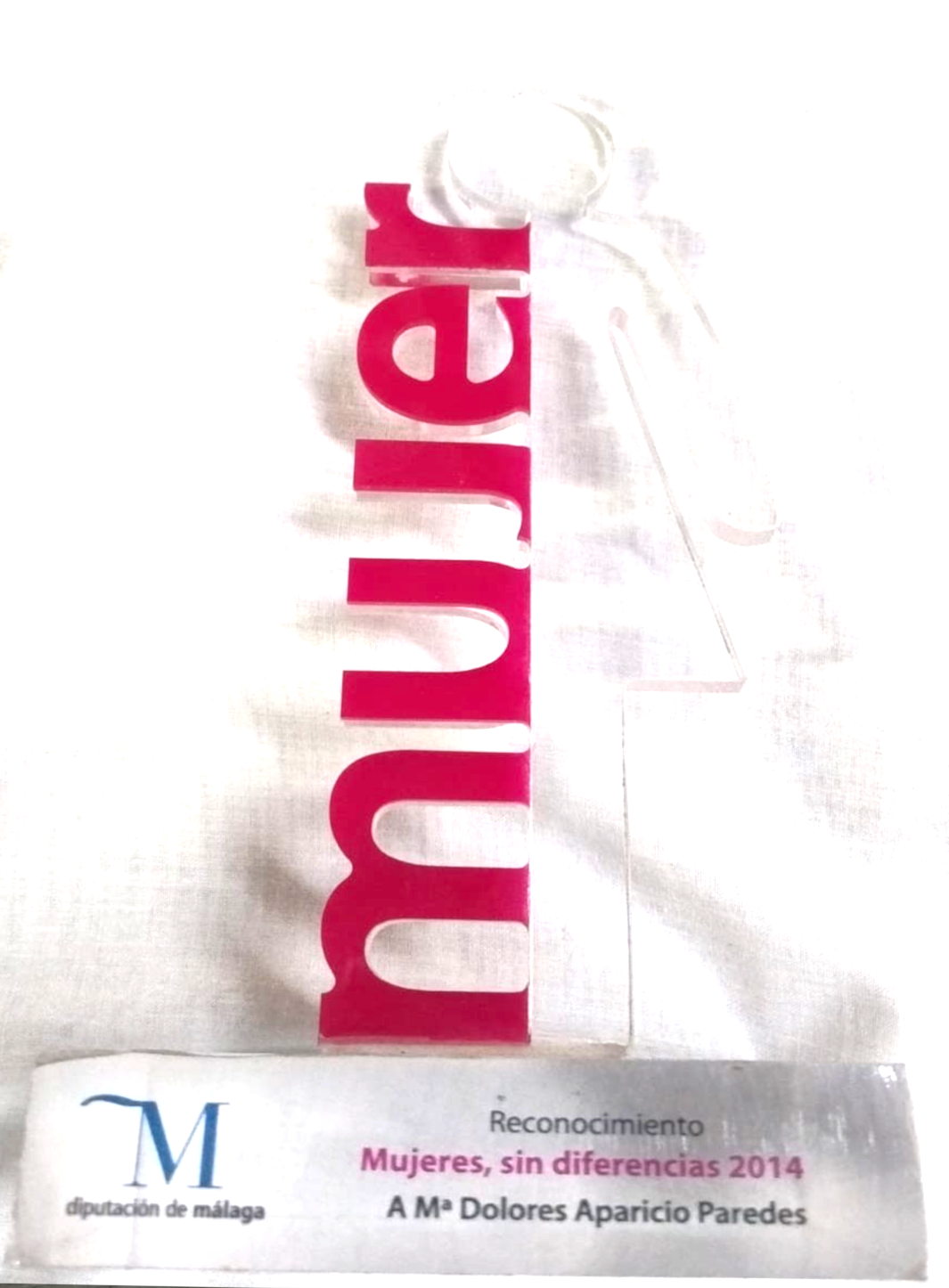 Premio a la igualdad